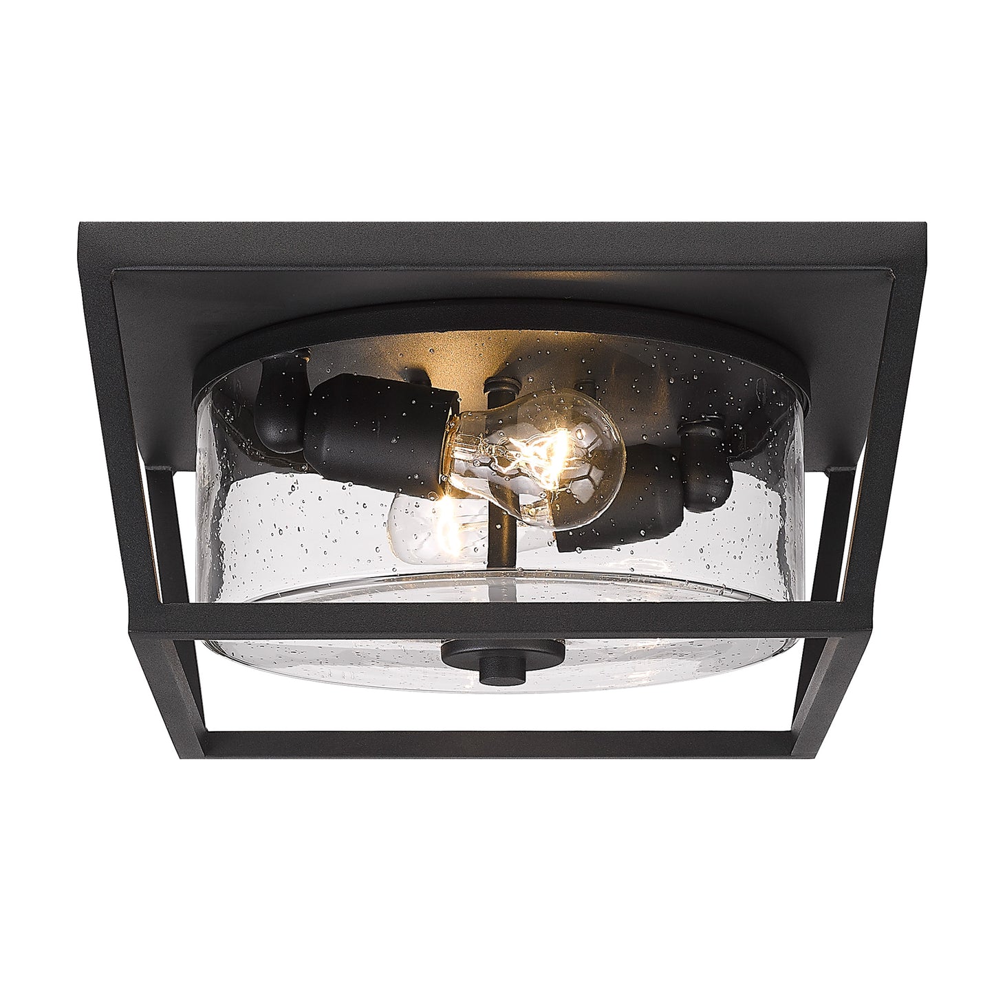 Marlowe Modern Black Flush Mount - Outdoor with Clear Shade