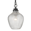 Lydia Transitional Black Medium Pendant with Clear Shade