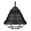 Pascale Rustic Black Wall Sconce - Outdoor with Black Shade