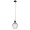 Lydia Transitional Black Medium Pendant with Clear Shade